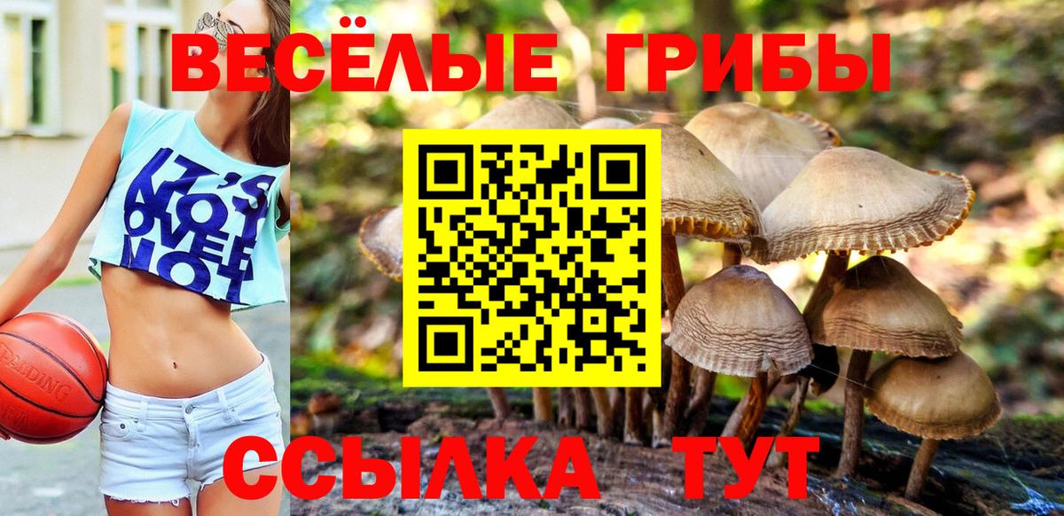 Курчалой  Псилоцибиновые грибы Magic Shrooms  Вход с VPN  Галлюциногенные грибы MAGIC MUSHROOMS 