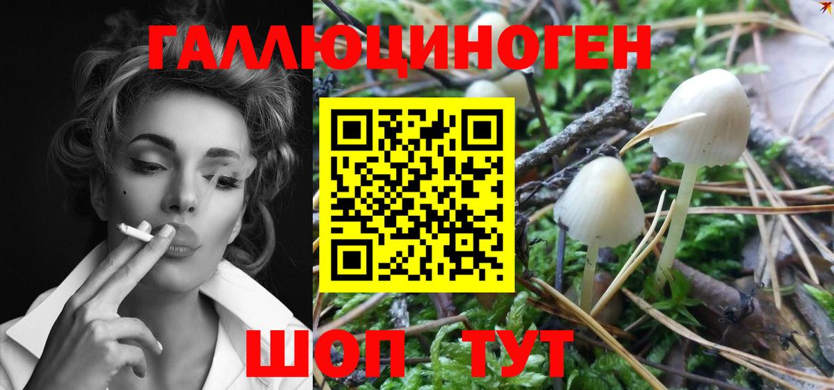 Псилоцибиновые грибы MAGIC MUSHROOMS Курчалой